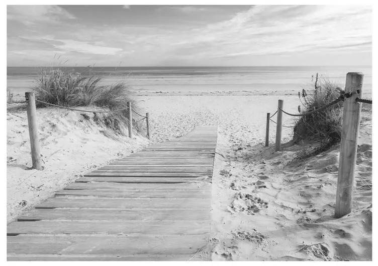 Fotomurale adesivo Sulla spiaggia paesaggio in bianco e nero