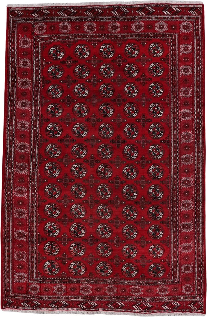 Afghan Tappeto orientale 230 x 360 (Afghanistan) Annodato A Mano
