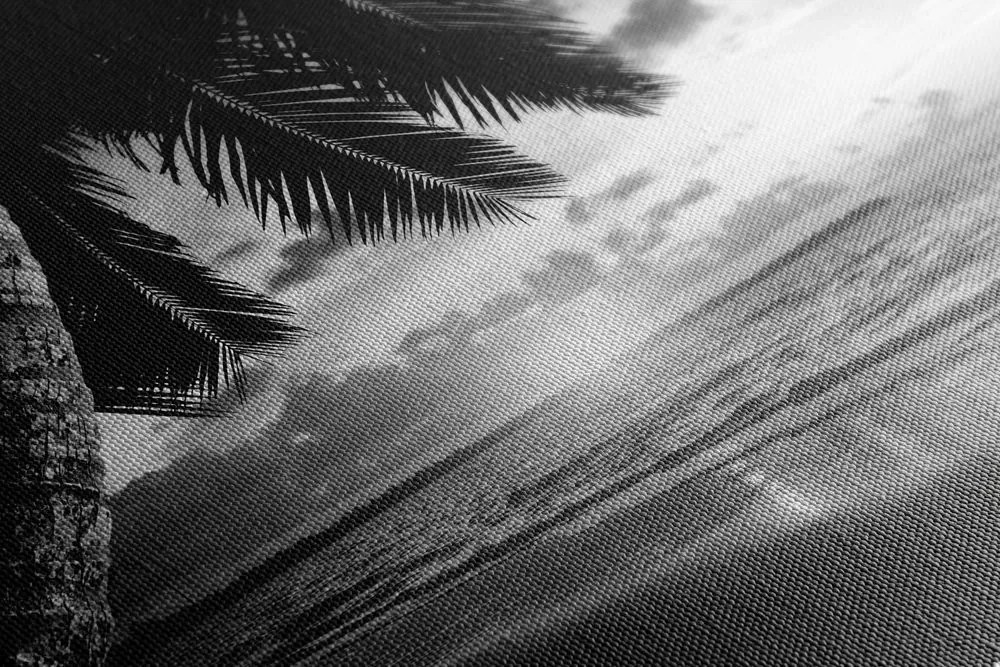 Stampa su tela – Alba sulla spiaggia caraibica in bianco e nero