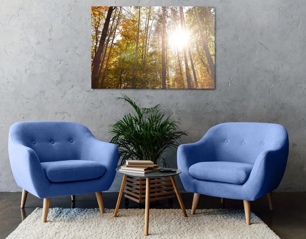 Quadro su tela – Foresta nei colori autunnali