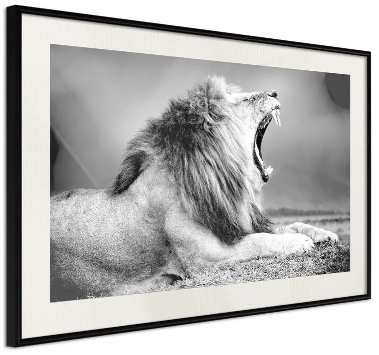 Poster  Yawning Lion  Cornice Quadri Cornice nera con pass-partout, Larghezza x Altezza Home decor 90x60