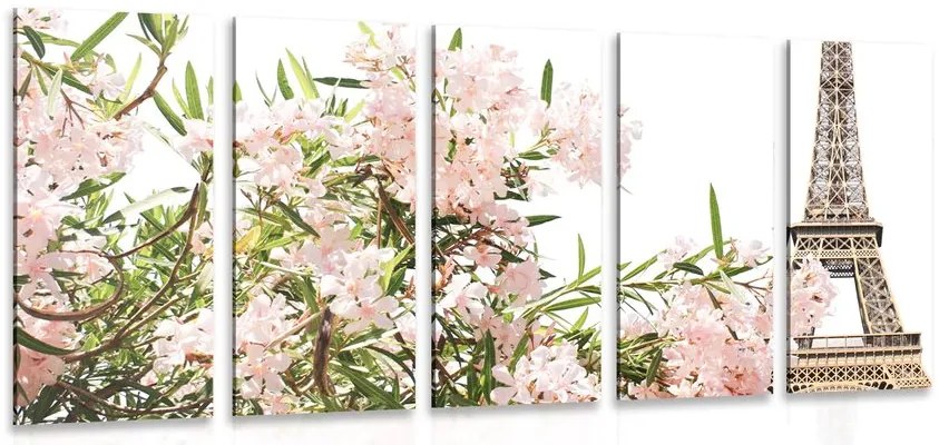 Quadri 5 pezzi – Torre Eiffel e fiori rosa