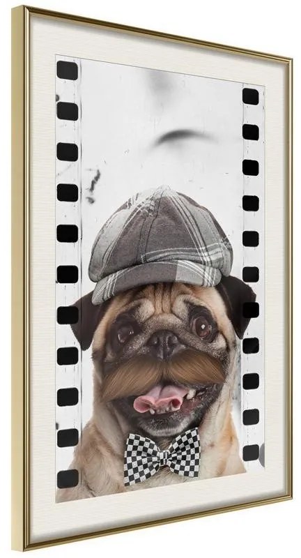 Poster  Dressed Up Pug  Cornice Quadri Cornice d'oro con passe-partout, Larghezza x Altezza Home decor 40x60