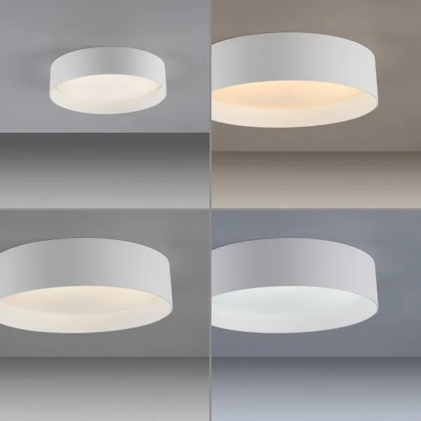 Schöner Wohnen 14593-16 - Plafoniera LED dimmerabile TAVOLI LED/10W/230V bianca+telecomando