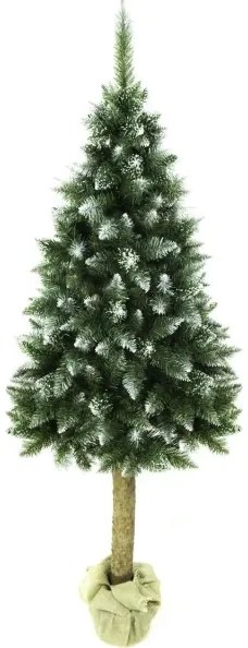Albero di Natale su tronco 180 cm abete