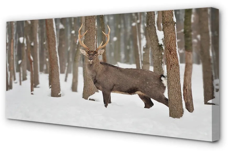 Quadro su tela Foresta invernale Jeleń 100x50 cm