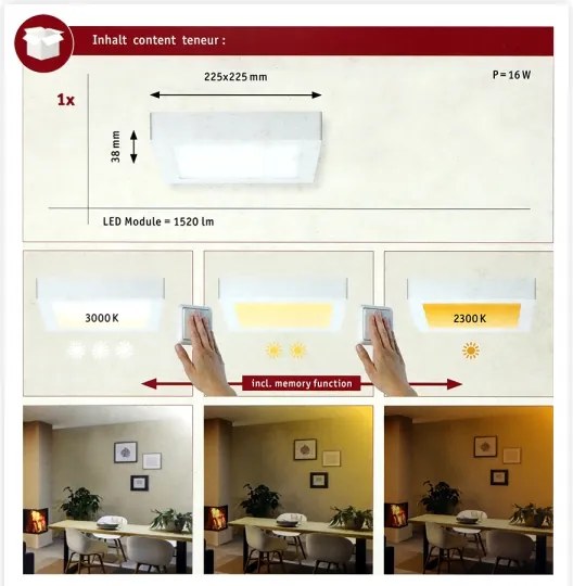 Paulmann 79796 - Plafoniera LED/13W CARPO 230V 2300-3000K