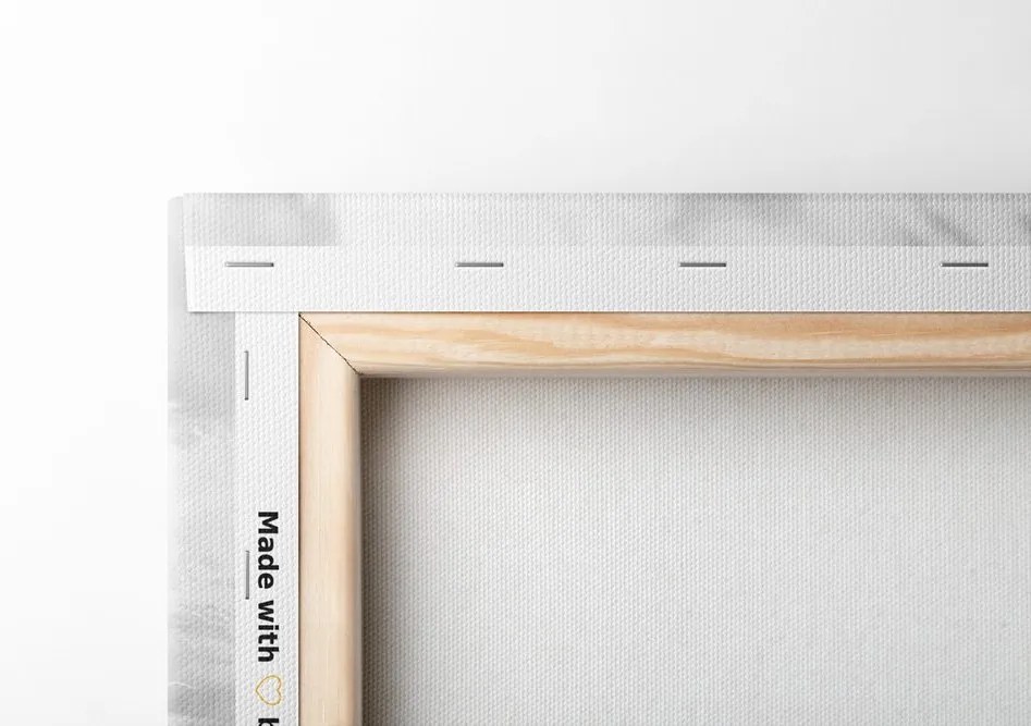Quadro su tela – Natura morta con scritta Home in bianco e nero