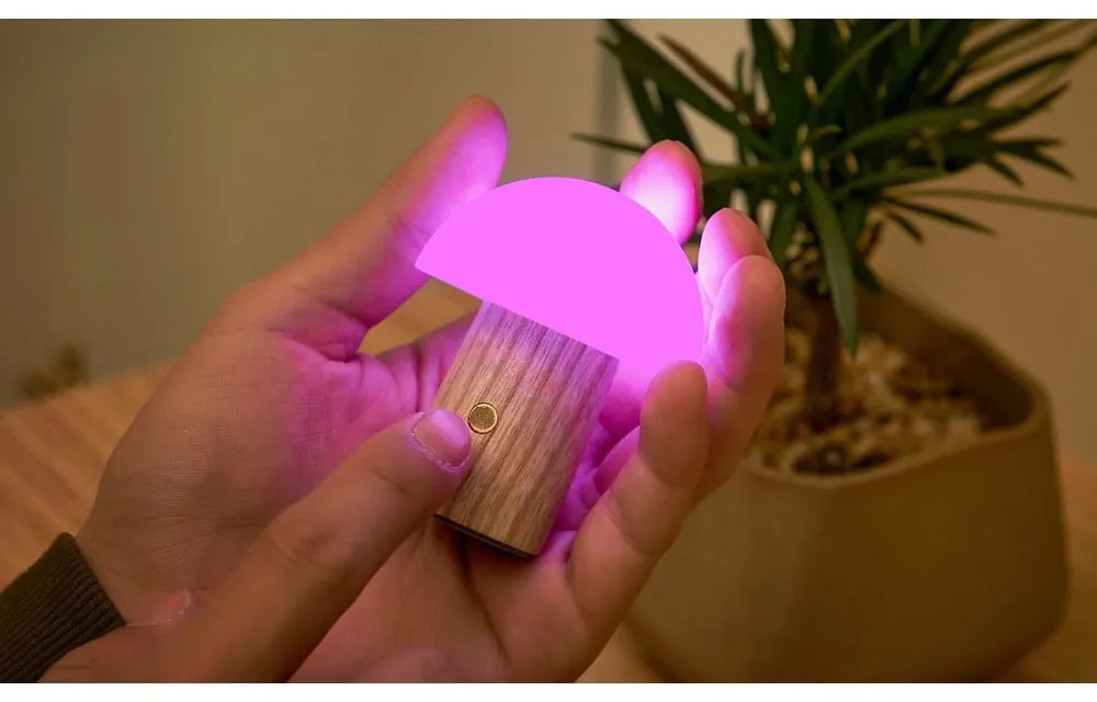 Lampada da tavolo con intensità regolabile di colore naturale in frassino massiccio (altezza totale 7 cm) Alice – Gingko