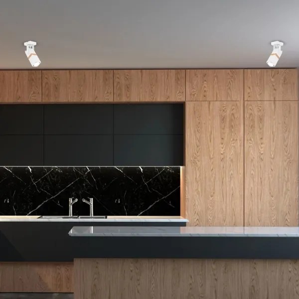 Luce Spot VIDAR 1xGU10/25W/230V bianco