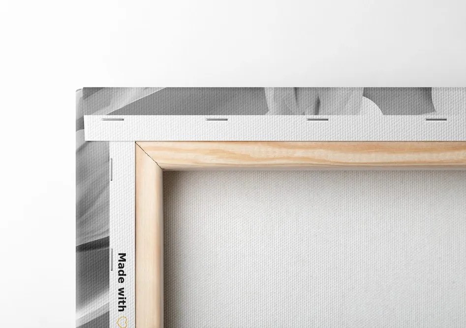 Quadro su tela – Magnolia in bianco e nero su sfondo astratto