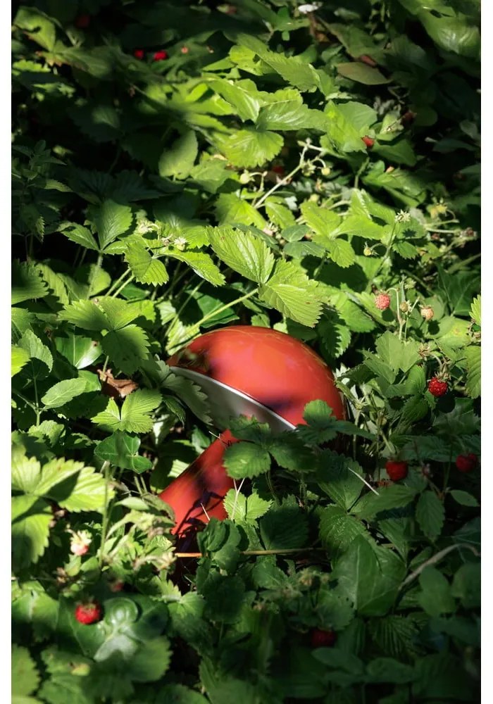 Lampada da tavolo dimmerabile a LED rossi (altezza 20 cm) Mush - Hübsch