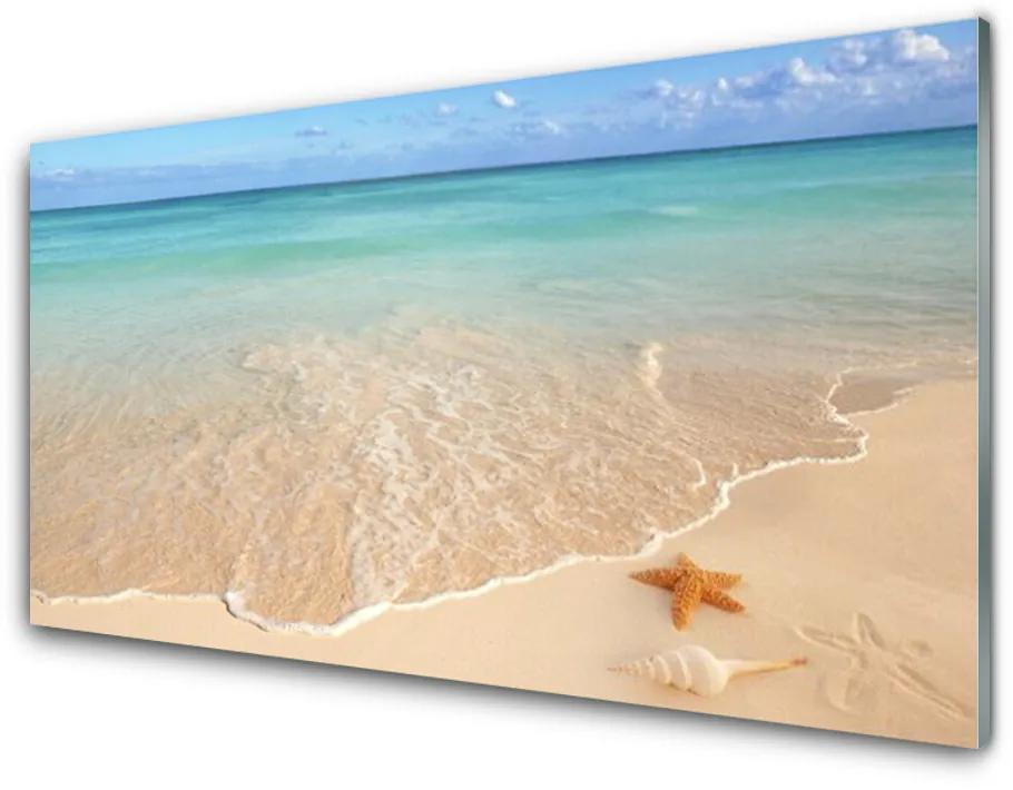 Pannello rivestimento parete cucina Paesaggio della spiaggia delle stelle marine 100x50 cm