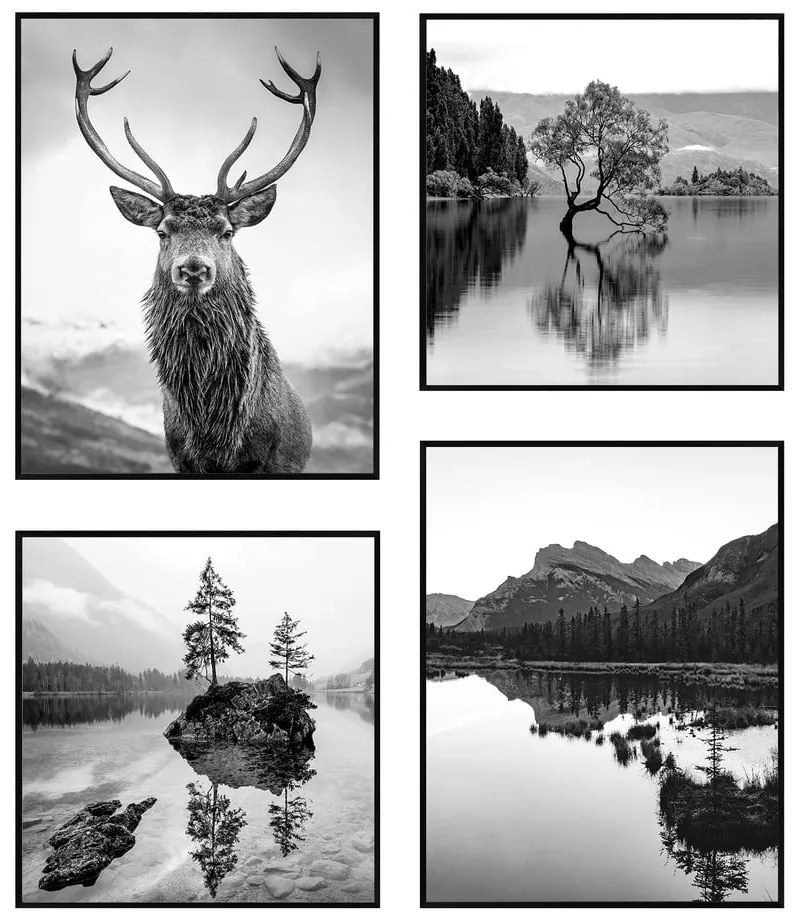 Quadri in set di 4 pezzi 30x40 cm Wild - knor