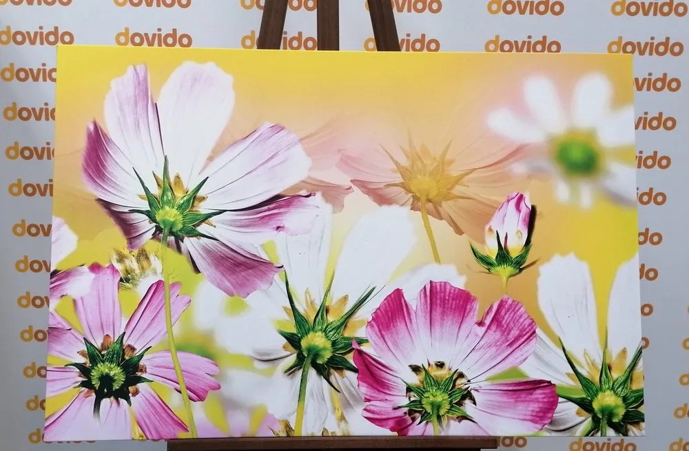 Quadro su tela – Fiori estivi