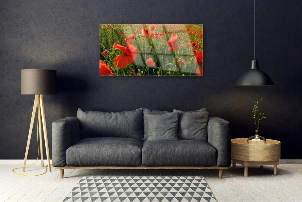 Quadro acrilico Natura, papaveri, piante 100x50 cm