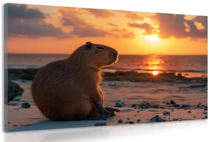 Quadro su tela – Capibara al tramonto