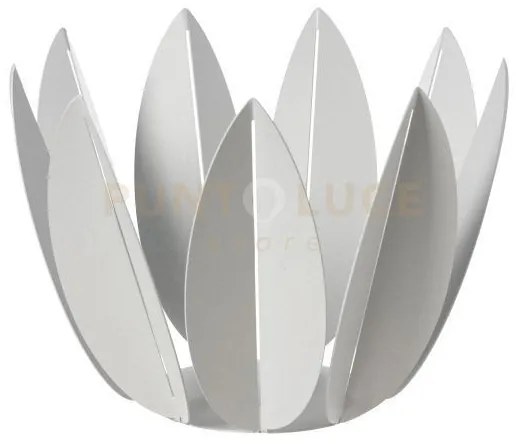 Agrumiera ficus bianco marmo