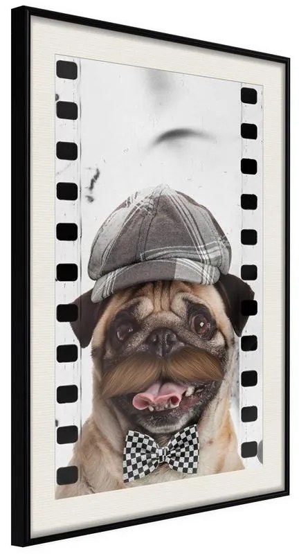 Poster  Dressed Up Pug  Cornice Quadri Cornice nera con pass-partout, Larghezza x Altezza Home decor 20x30