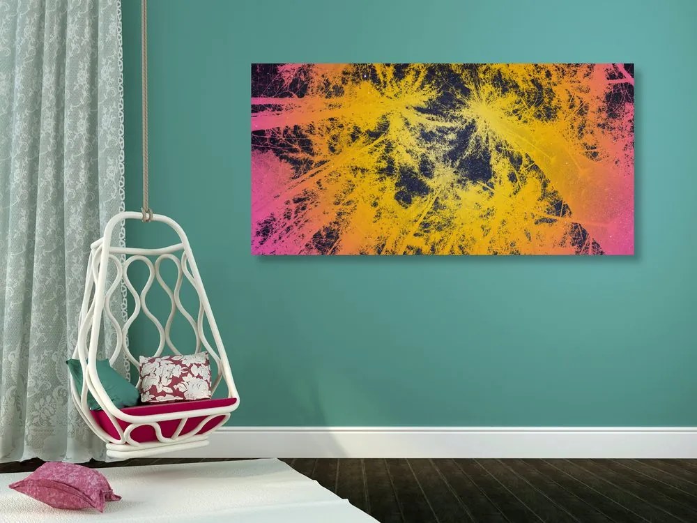 Quadro su tela – Tramonto nella foresta tropicale