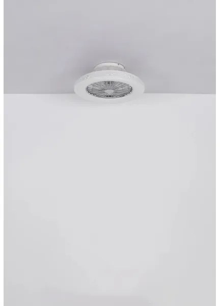 Globo 03654 - Ventilatore da soffitto dimmerabile a LED CORUSSO LED/40W/230V 3000-6500K + +TC