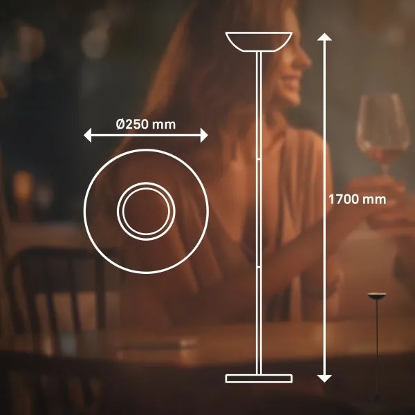 Briloner 1500015 - Lampada da terra LED dimmerabile ESTATE 8W/5V 4000 mAh, nera