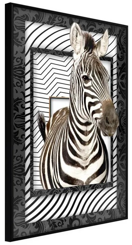 Poster  Zebra in the Frame  Cornice Quadri Cornice nera, Larghezza x Altezza Home decor 30x45