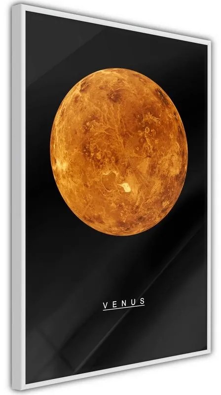 Poster The Solar System: Venus