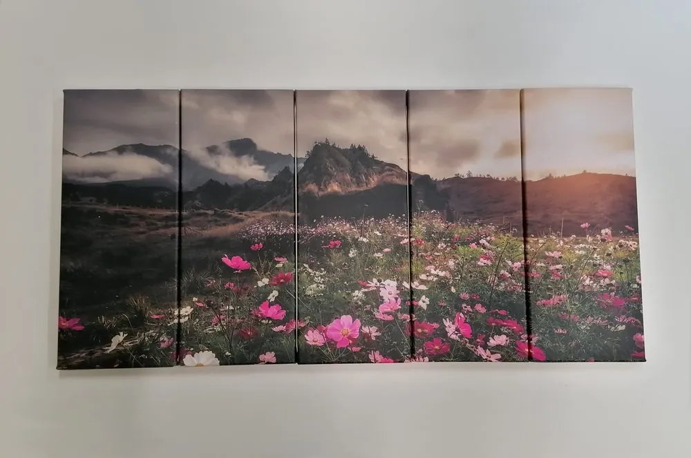 Quadri 5 pezzi – Prato di fiori in fiore