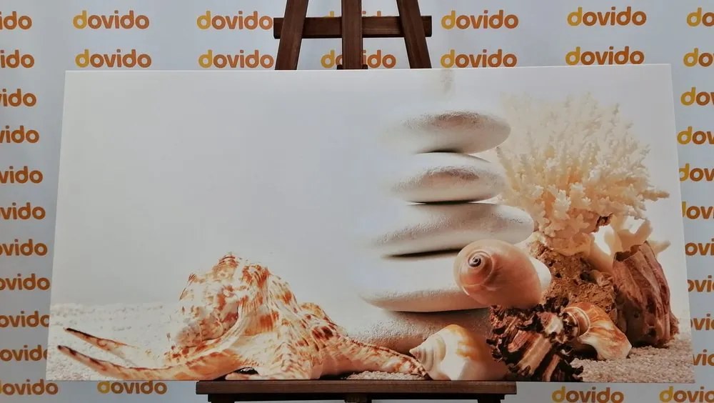 Quadro su tela – Pietre Zen con conchiglie