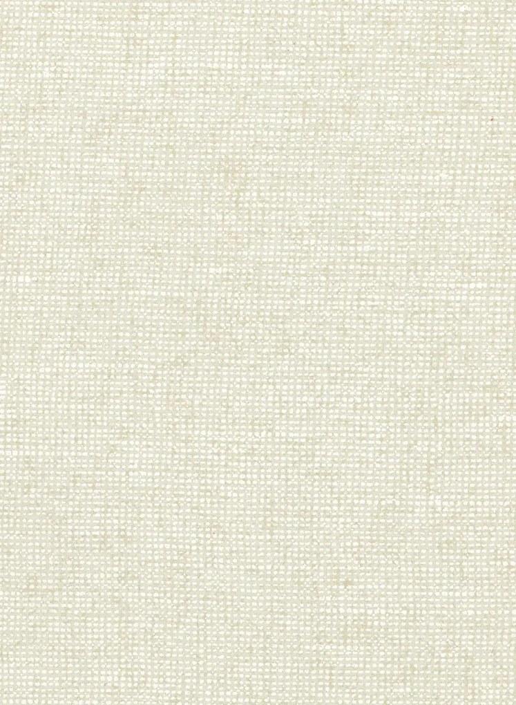 Essentials Carta da parati Chanderi - Eggshell