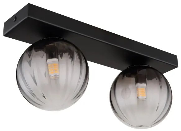 Globo 15216-2 - Plafoniera DALLERTA 2xG9/10W/230V