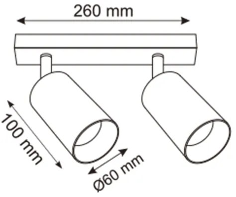 Zuma Line 2211BD-2-BK - Faretto REN 2xGU10/50W/230V nero/grigio