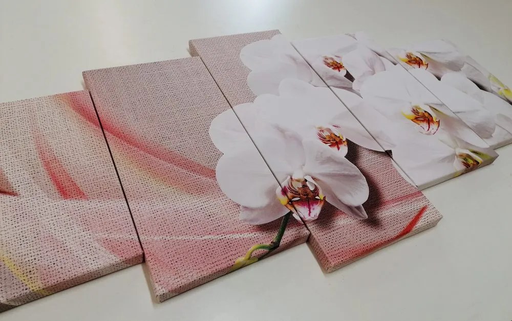 Quadri 5 pezzi – Orchidea bianca su tela