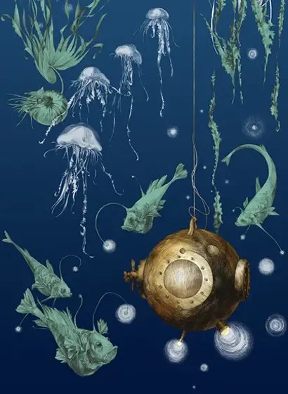 Edmond Petit Meeres-Tapete Nautilus droit - Marine