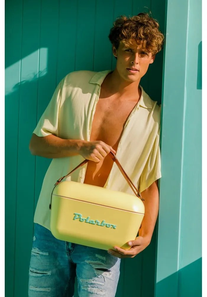 Borsa frigo gialla 20 l Classic – Polarbox