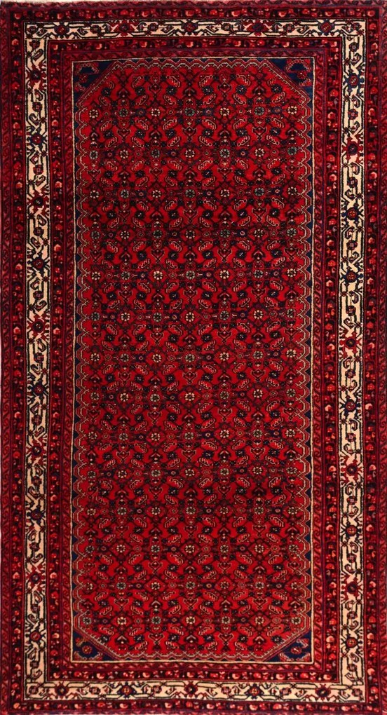 Hosseinabad Tappeto persiano 170x310 (Iran)
