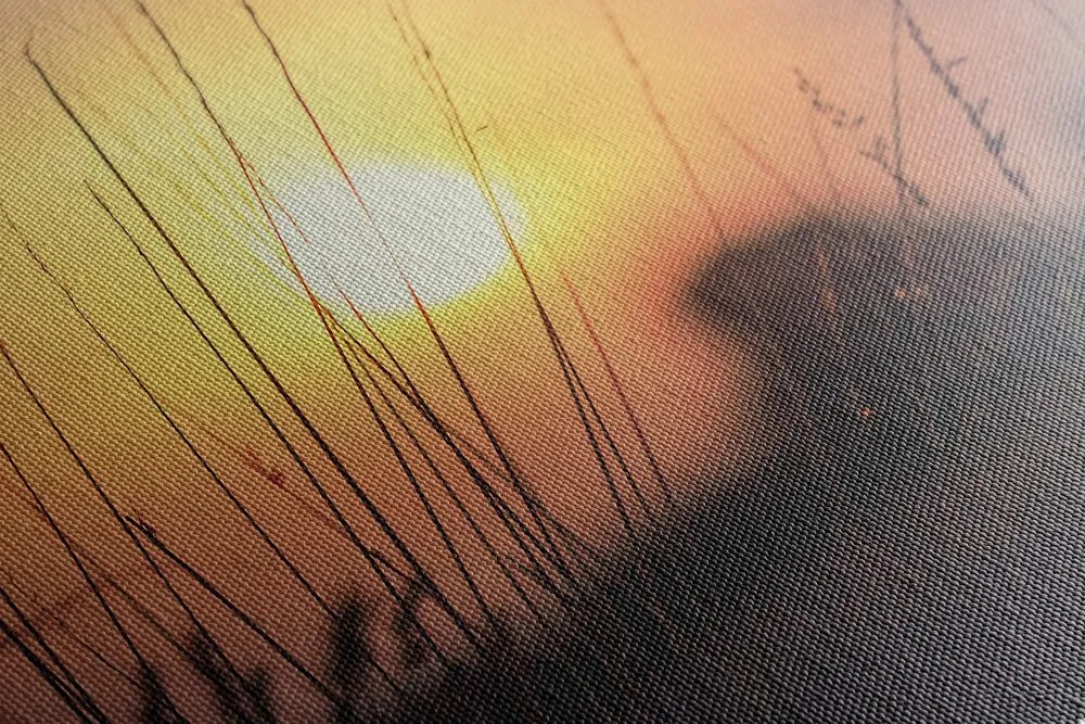 Stampa su tela – Alba sul prato