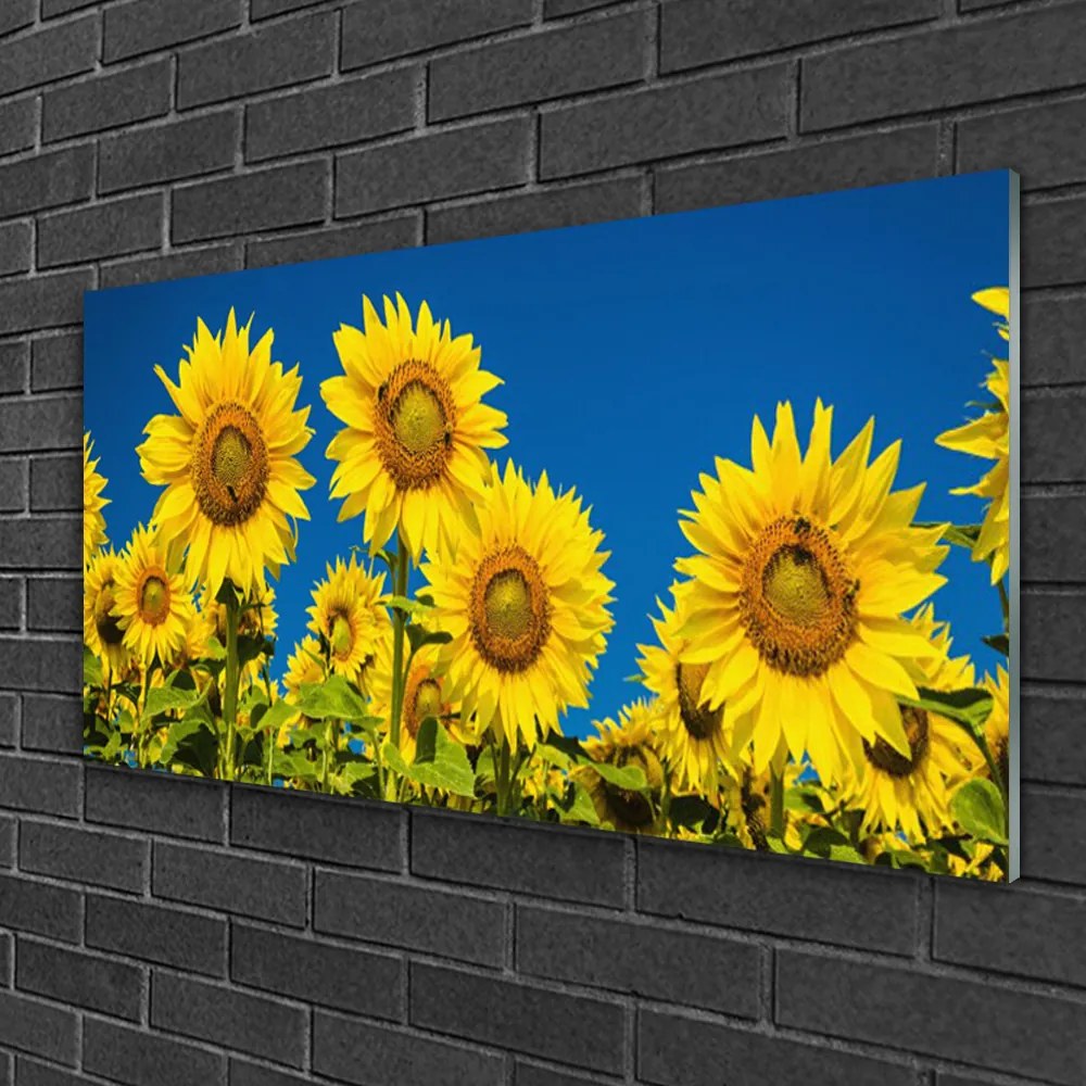 Quadro in vetro Pianta di girasoli 100x50 cm