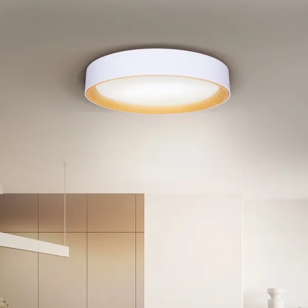 Brilagi -Luce LED dimmerabile LARIOS LED/60W/230V 3000-6500K ø 49 cm white+RC