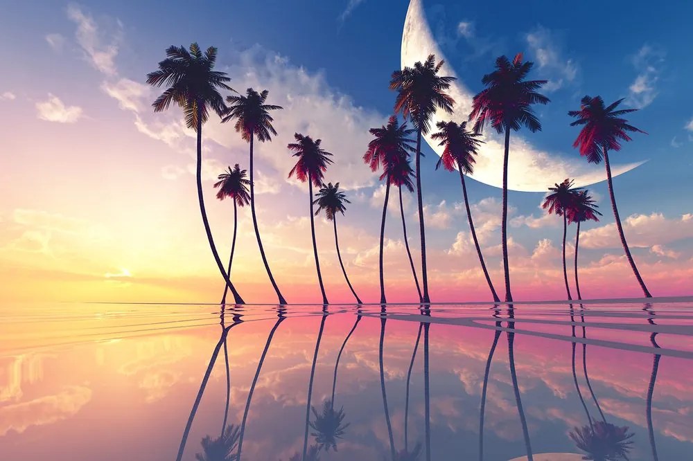 Carta da parati – Tramonto sopra palme tropicali