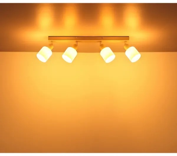 Globo 54114-4 - Faretto orientabile TRENT 4xE14/25W/230V