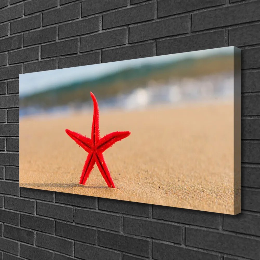 Quadro su tela Arte della stella marina della spiaggia 100x50 cm