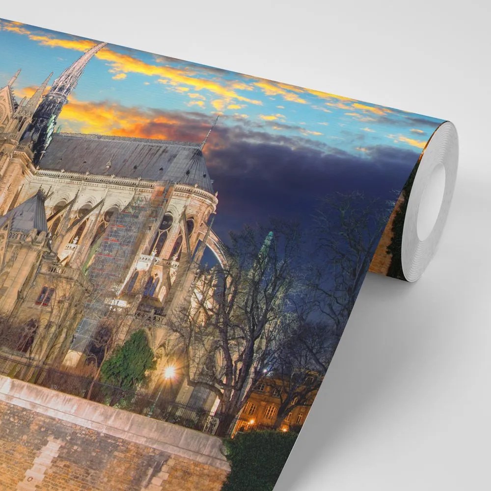 Carta da parati – Cattedrale di Notre Dame