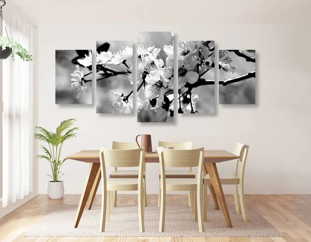 Quadri 5 pezzi – Fiore di ciliegio in bianco e nero