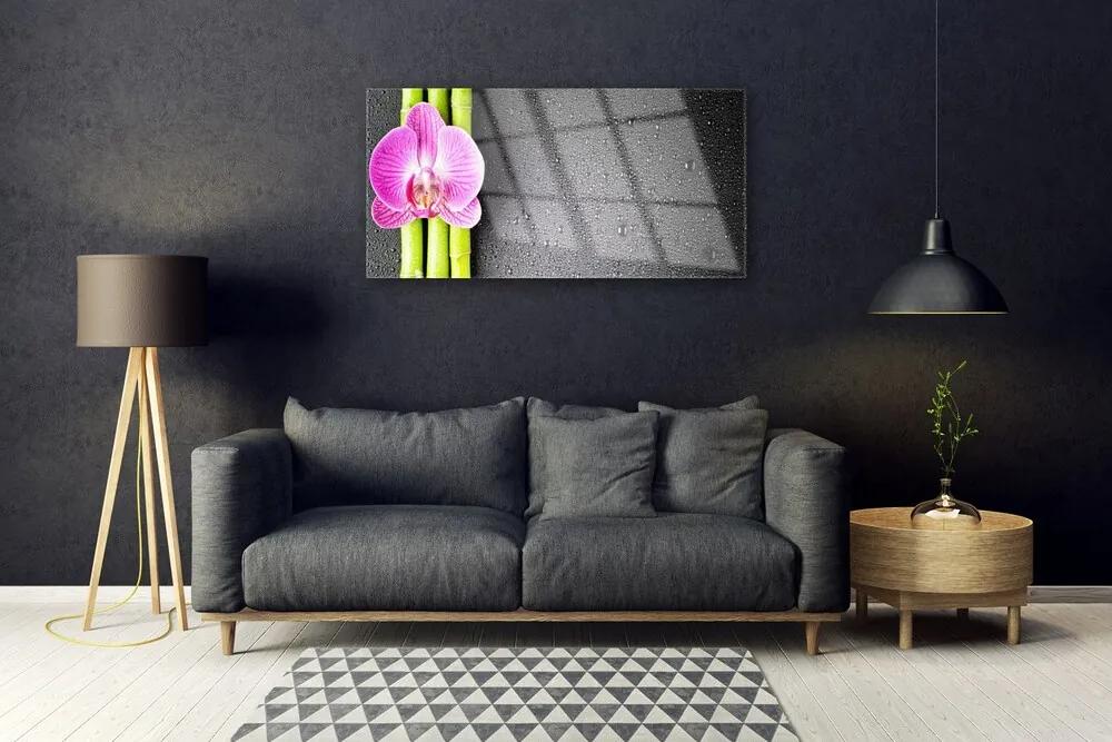 Quadro acrilico Fiori di orchidea di bambù 100x50 cm