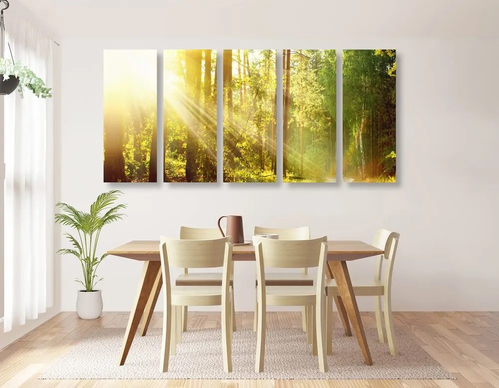 Quadri 5 pezzi – Raggi di sole nella foresta