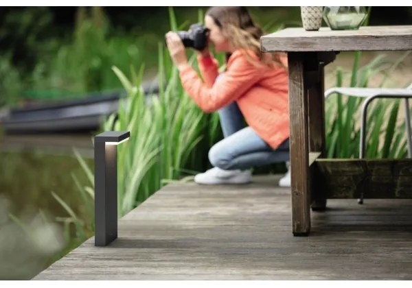 Philips 16485/93/P0 - Lampada LED da esterno BUSTAN 2xLED/4,5W/230V IP44