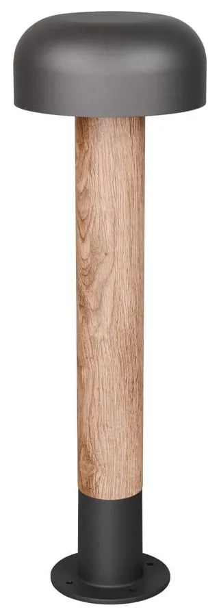 Illuminazione esterna a colonna ø 19 cm Fraser – Trio