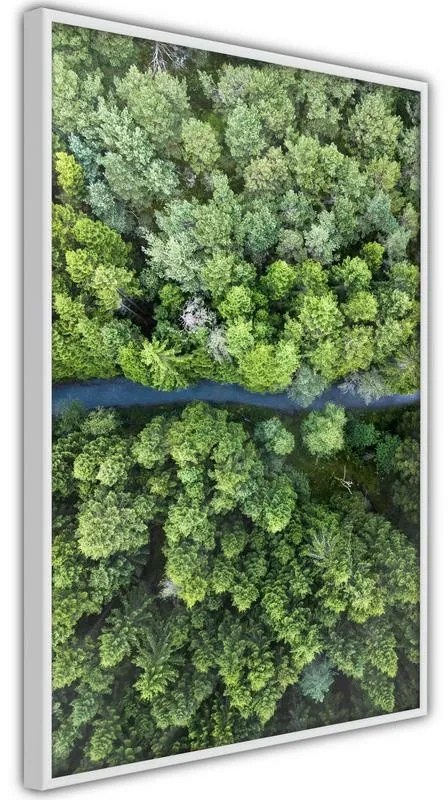 Poster Forest from a Bird's Eye View